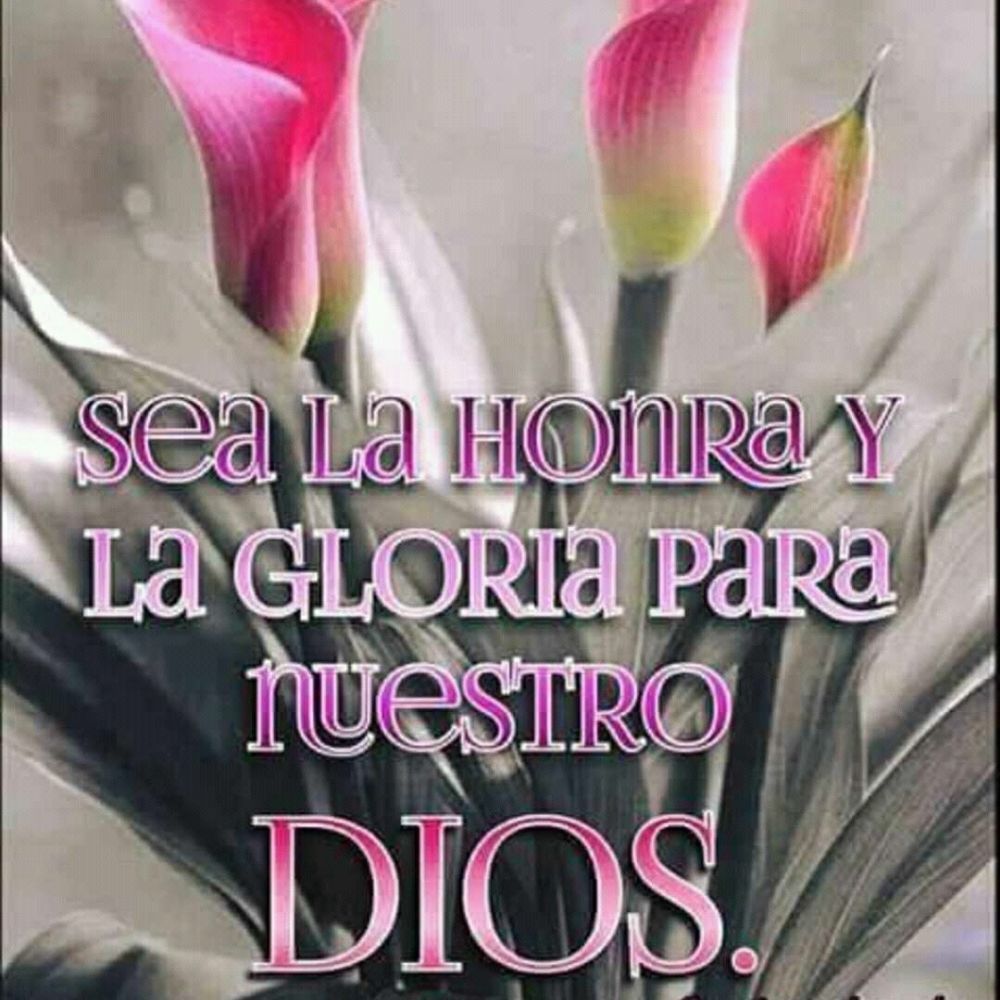 Meet your Posher, Dioni